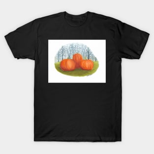 Pumpkins in a Field T-Shirt